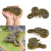 Reptile Simulation Pvc Corallus Enydris Model For Kids Play And Classroom Decor