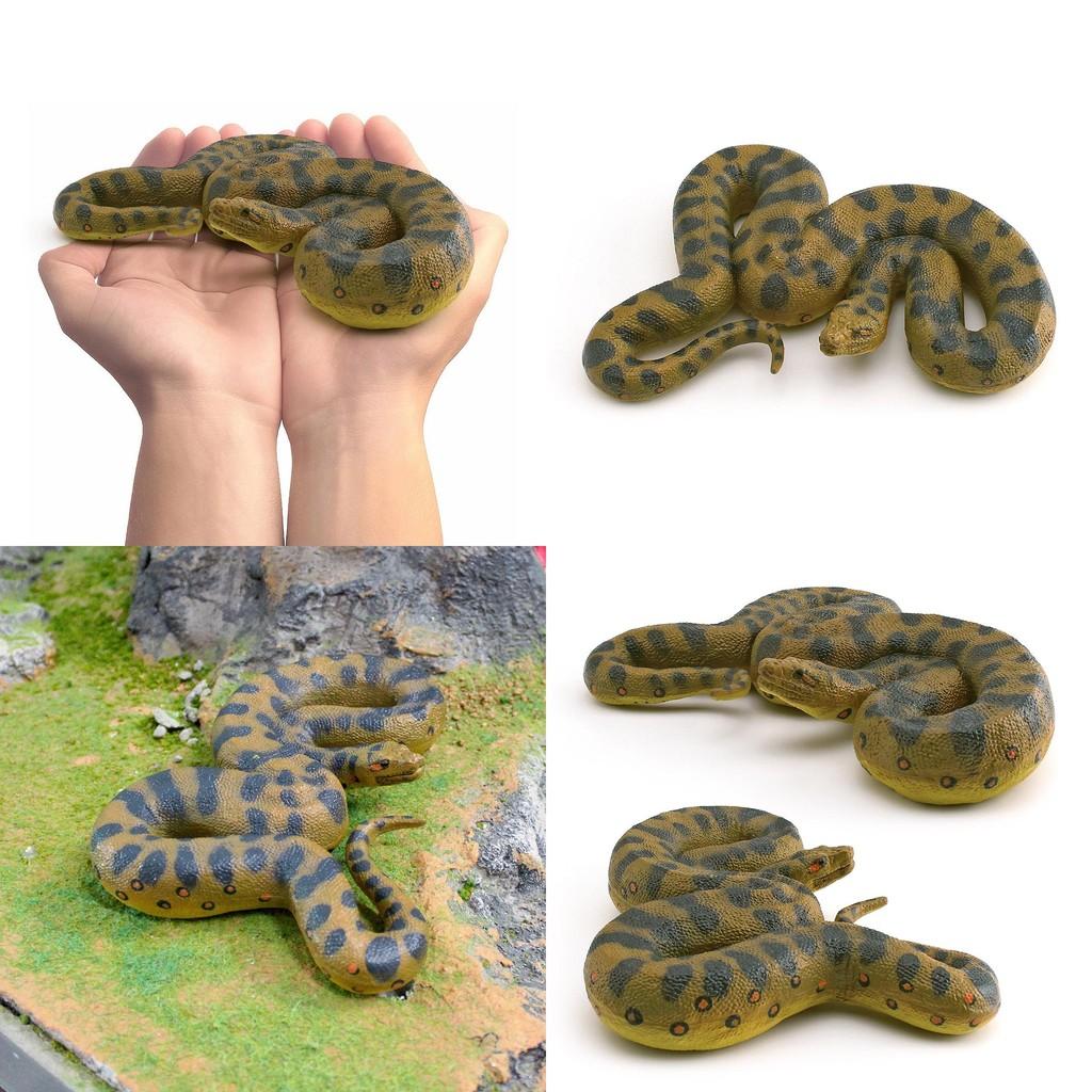 Reptile Simulation Pvc Corallus Enydris Model For Kids Play And Classroom Decor