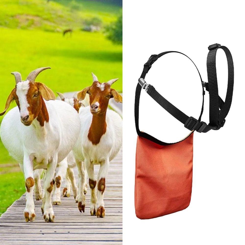 Wear Resistant Breeding Control Goats Skirt Anti Mating Sheep Skirt Livestock Management