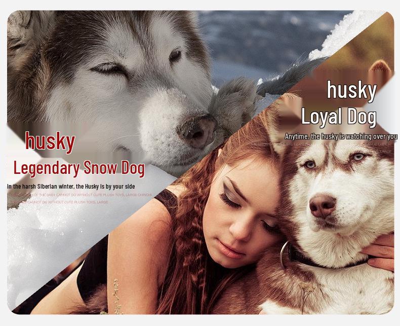 Huge Husky Bear Plush Doll - Cute Ragdoll Stuffed Animal Sleeping Pillow