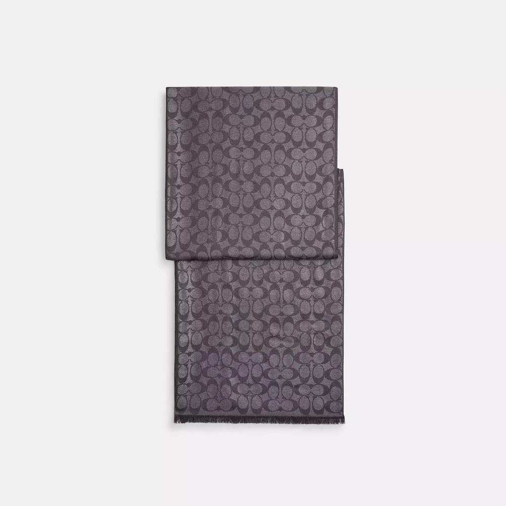 

Coach Signature Metallic Oblong Scarf Graphite One Size
