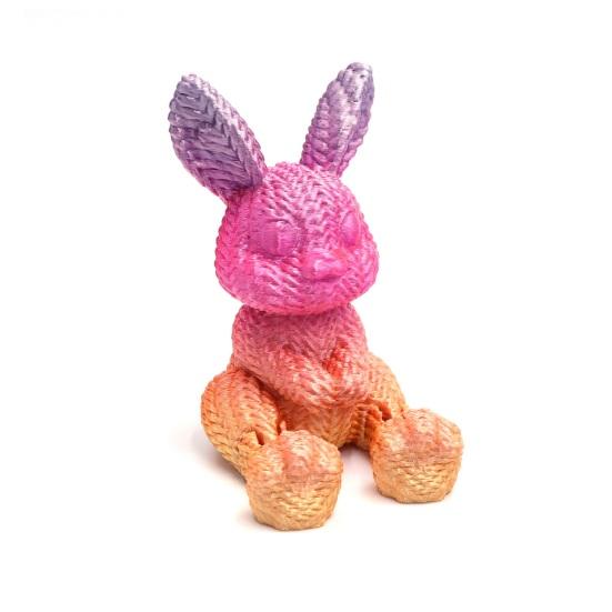 2 Pcs 3D Printed Easter Egg with Bunny Inside Prefilled Easter Bunny