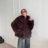 European and American fur large lapel artificial fur jacket short fashion fox fur jacket fluffy plush women