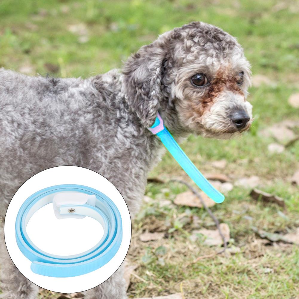 

Домашнее животное собака кошка растение эфирное масло против вшей комары блохи дегельминтизирующий ошейник синий регулируемое насекомое re