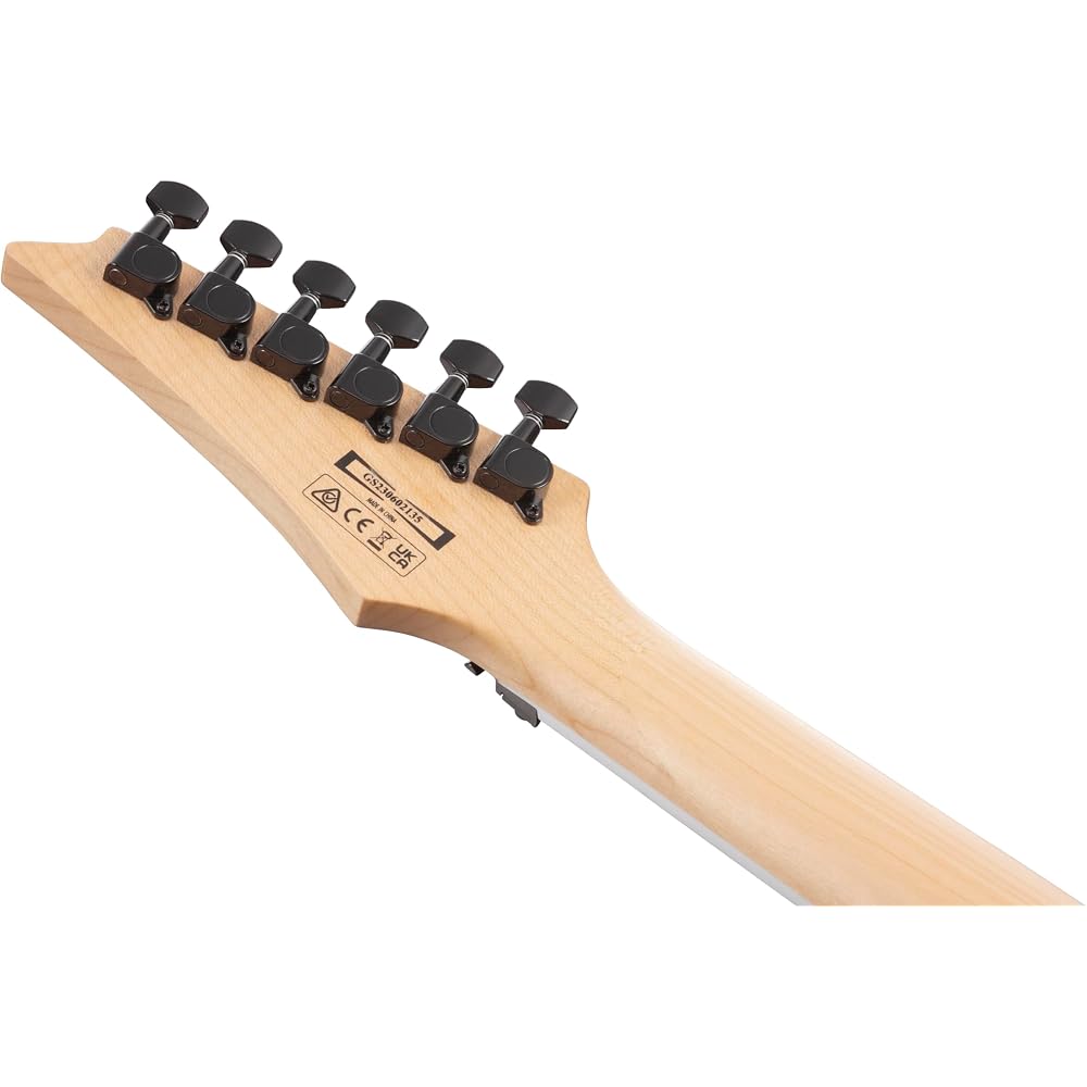 Ibanez (Ibanez) GIO Series Electric Guitar with Double Locking Tremolo Transparent Black Sunburst...