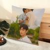 Cushion Cover Silky Short Plush Home Sofa Cushion Cover - Invisible Zipper Home Decoration A Breeze Of Love