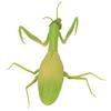RC Mantis Children Simulated IR Remote Control Mantis Mischief Toy for April Fools" Day Party