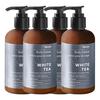 Westin Body Lotion White Tea Aloe 237ml (4 Bottles)