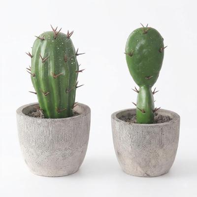 Wonderix Mini Prickly Pear Cactus Artificial Plant Set of 2 Direct from Japan