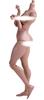 HiPlay worldbox 1/6 Scale Female Body, Super Articulated Figure Doll (Thigh Body Type, AT202 (Tan Skin)) (Tan Skin)