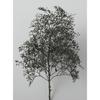 Woodland Scenics x KATO Natural Material Trees Black Dyed 24-368 Railway Model Supplies