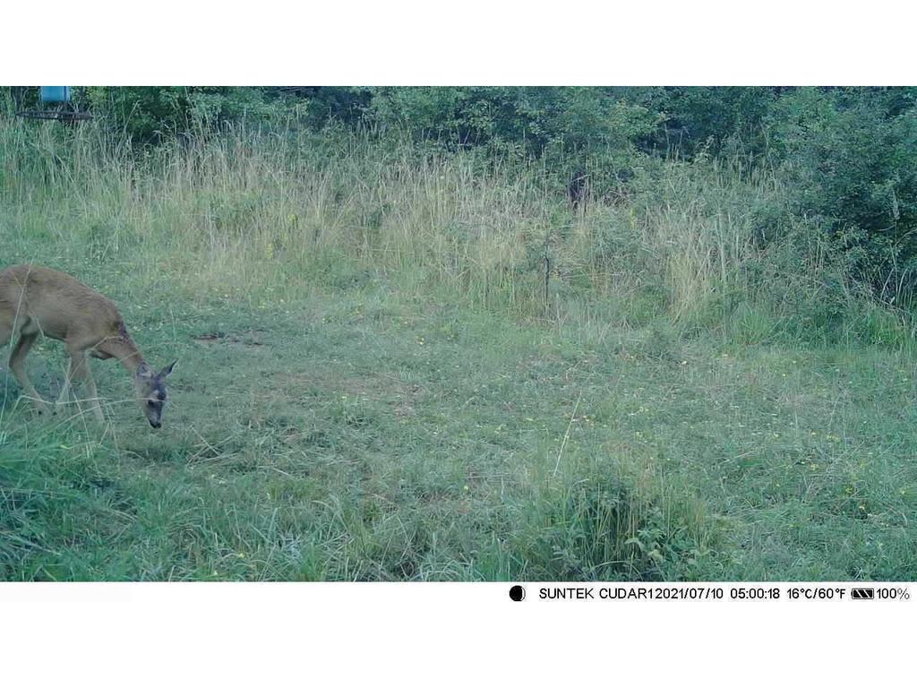 4K 50MP Outdoor Infrared Night Vision Tracking Camera HC-810A