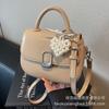Korean Version Niche Bag Women's Spring Summer Versatile 2025 New Leisure This Year Popular Messenger Bag Popular Small Square Bag