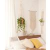 Indoor Macrame Hooks Flower Pot Holder Hanging Basket Garden Hanging Rope Plant Hanger