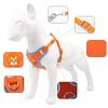Pet Chest Strap Vest Type Dog Strap Small Dog Rope Outdoor Reflective Breathable Dog Traction Rope Dog Collar Seat Belts