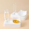 2 in 1 Dog Feeder  Cats Food Water Bowl Double Bowl Anti-Leak