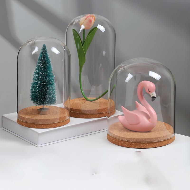 Customizable Modern Design Handmade Clear Glass Bell Jar Bell Dome Wooden Cork Base Tabletop Vase for Decorative Use DIY