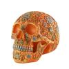 Resin Fox Skull Model for Science Education & Halloween Props