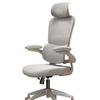Youshu Ergonomic Office Computer Chair