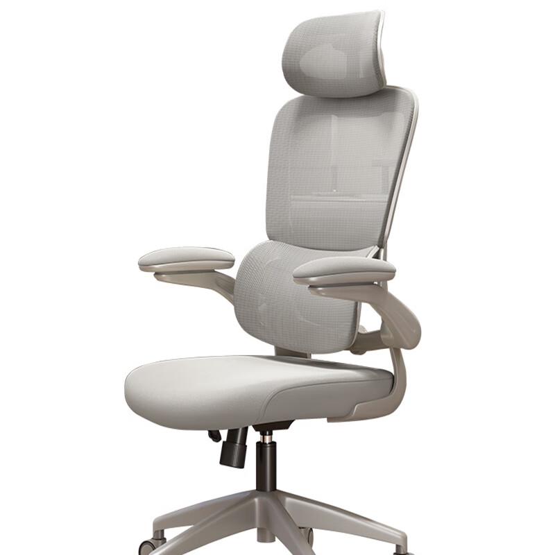 Youshu Ergonomic Office Computer Chair