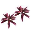 Artificial Brazilian Dragon Blood Tree Props For Role Playing And Themed Event 55KF