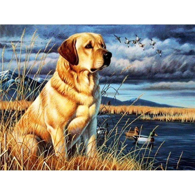 

Безрамные 5d алмазные наборы для рисования собак Алмазная вышивка мозаика животные ремесла фотографии для домашнего декора Full Round 20x30CM