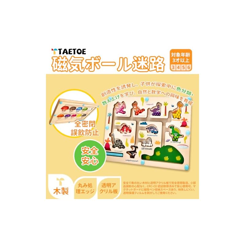 Montessori Magnetic Ball Maze, Educational Toy for Toddlers, Brain Training, Hand-Eye Coordination, Fibre Control, Color and Number Recognition,