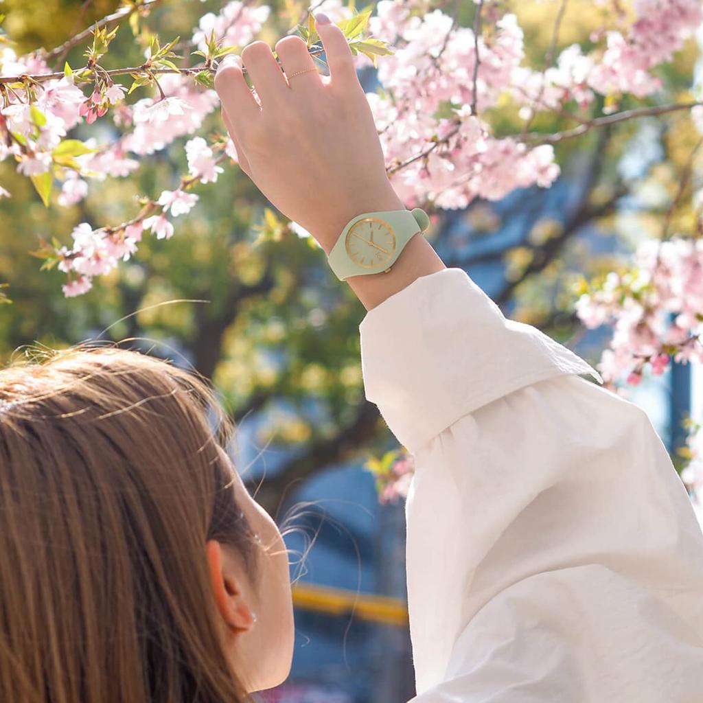 Distributeur agréé Ice watch montre 020542 Ice glam brossé ICE glam brossé jade petit [Ice-watch] femme