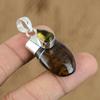 Natural Petrified Wood Jasper Gemstone Pendant Brown 925 Sterling Silver Jewelry