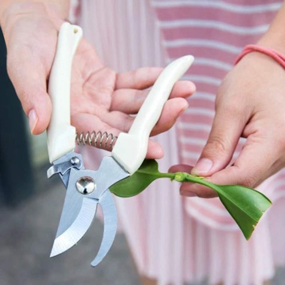 

Gardening Fruit Tree Pruning Grafting Tool Pruners Garden Shears Bonsai Straight