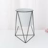 Nordic Simple Flower Stand Iron Frame Vase Simple Family Flower Rack Bottle