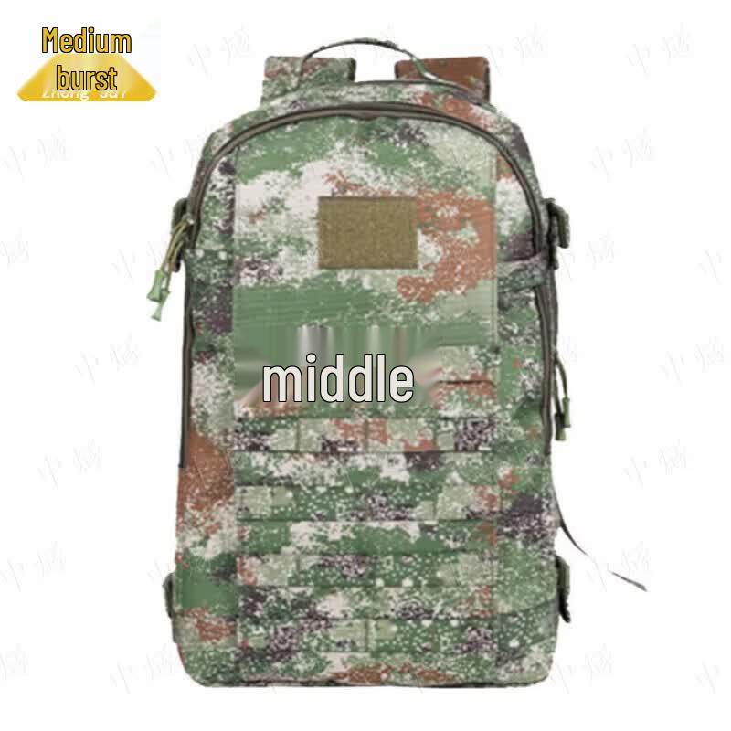 Zhong Sui 19 Tactical Training Backpack