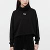 Sweatshirts Women's Black Turtleneck Moderate Regular 534145-01