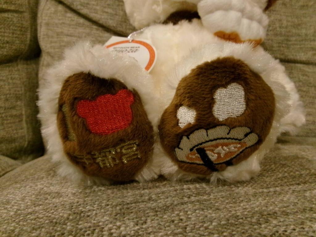 Local souvenir bear Tochigi limited edition Gyoza bear Fujinisei included