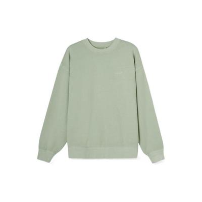 Levis SS22 Logo Bestickt Einfarbig Rundhals Baumwolle Langarm Sweatshirt Herren Sweatshirt Hellgrün A0717-0025