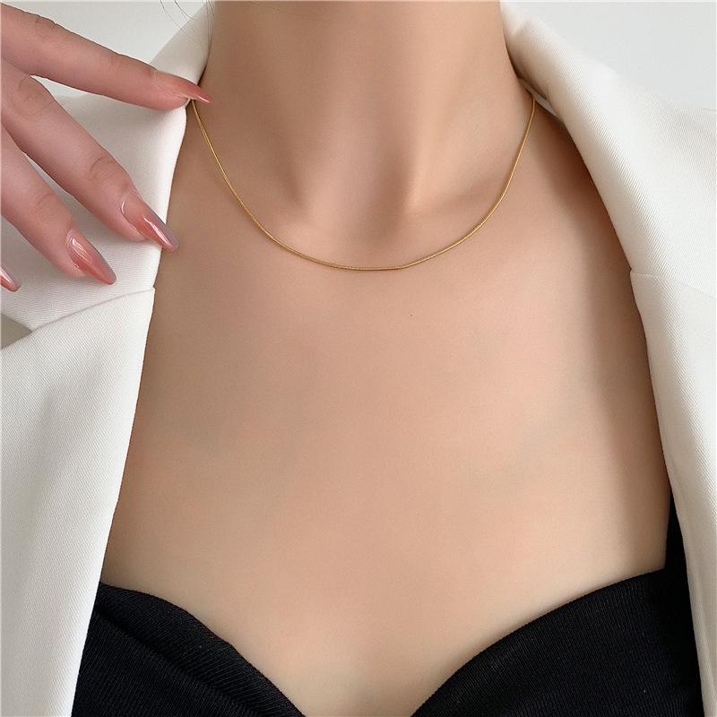 European Style Titanium Steel Snake Bone Choker Necklace - Thin, Stylish Plain Chain for Women