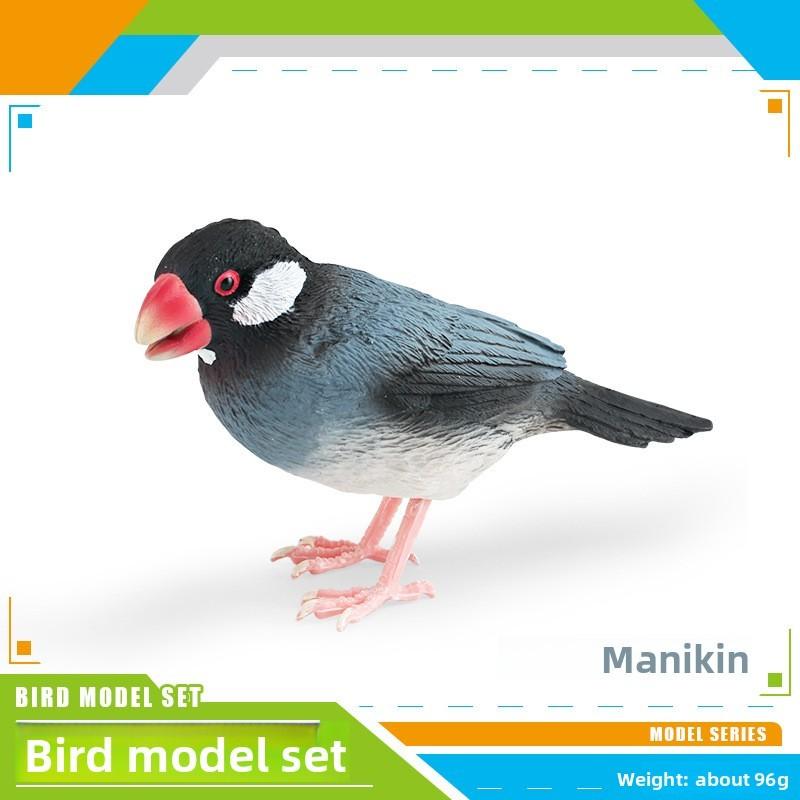 Mandarin Duck Bird Model Pvc Realistic Parrot Desktop Decor For Kids And Collectors