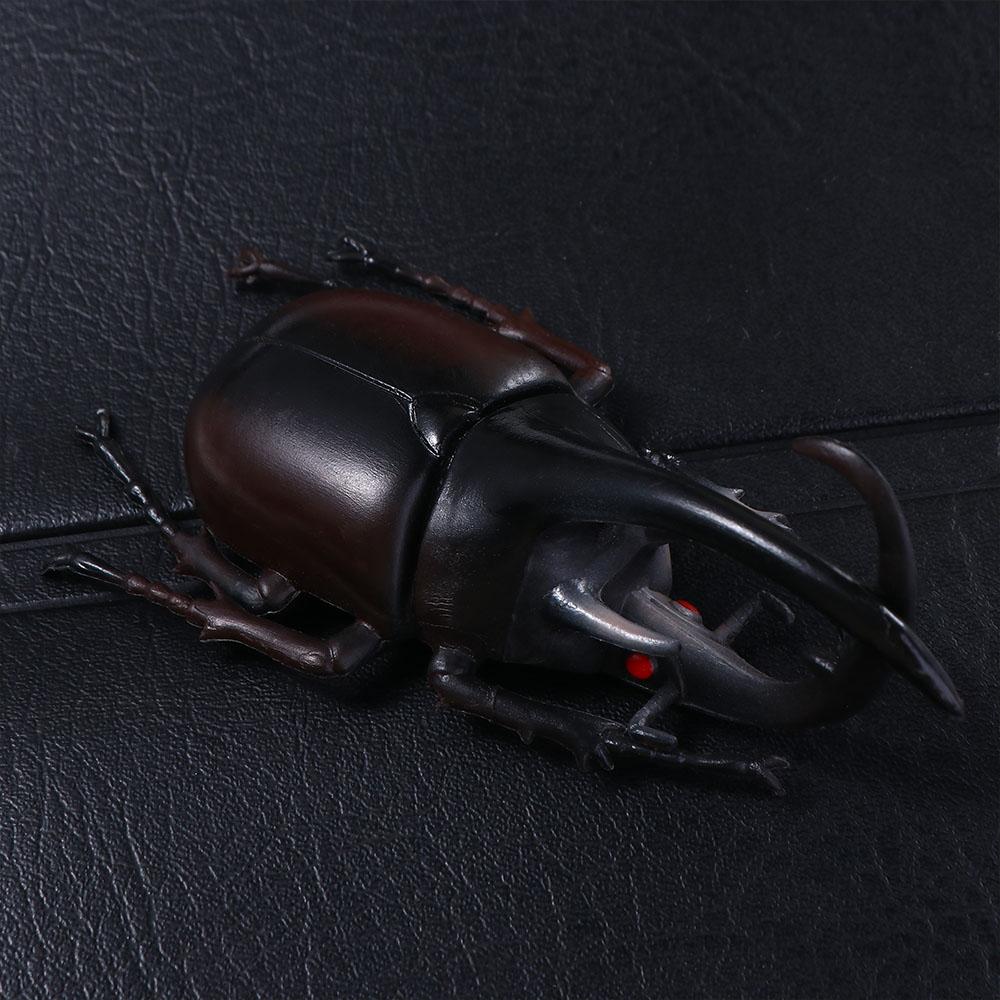 Insect Toy Kids Beetle Figures Special Lifelike Model Simulation Beetle Insect Model Beetle Toys