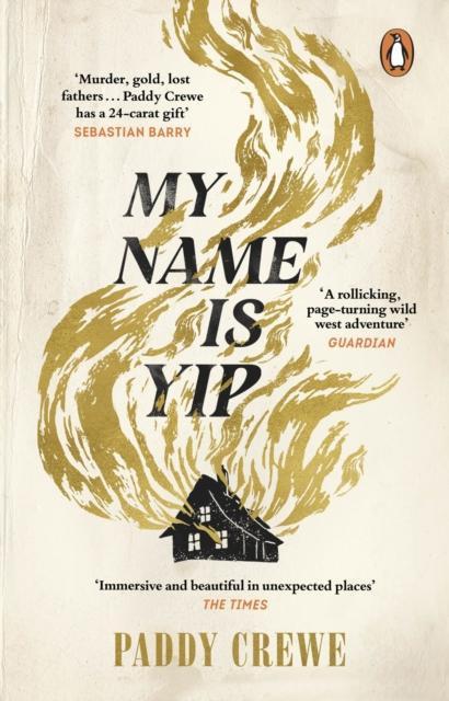 My Name is Yip by Paddy Crewe Paperback Book 9781804991022