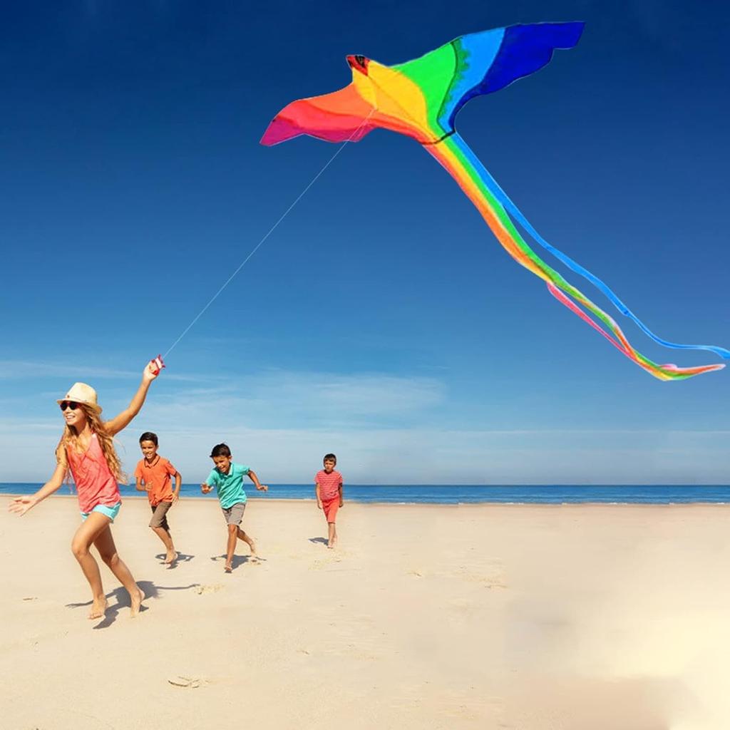 Phoenix Kite, a kite for adults and teenagers, perfect for beginners, easy to assemble and operate, includes a storage bag, ideal for outdoor leisure