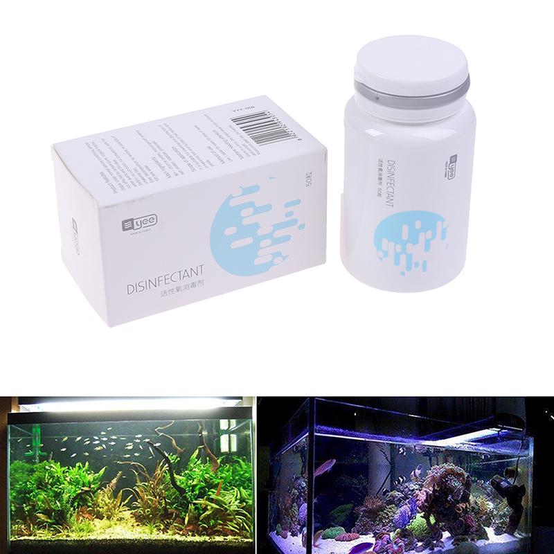 algae tablets for fish tank