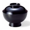 Family Lacquerware Made in J-kitchens Bowl, Hand-Painted, Japan, PID-634969
