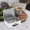 Tin Box with Handle Exquisite White Tinplate Storage Box Multi Purpose Desktop Organizer Jewelry Container Coin Souvenirs