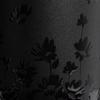 Blackpink Jennie X Stanley SAMARBEID Tumbler