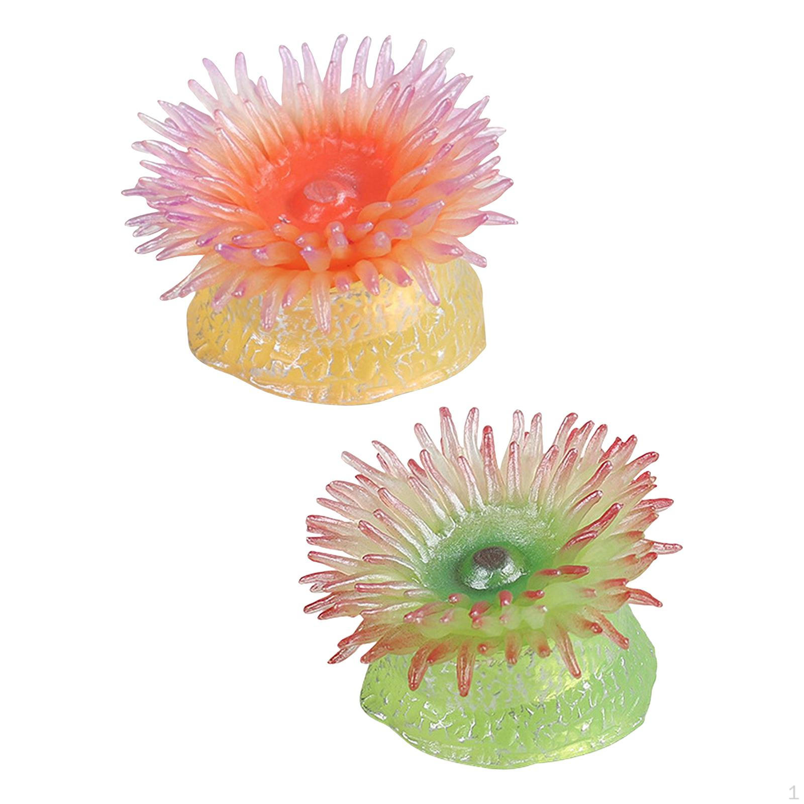 

2 шт. Модель морского анемона, животное, развивающие игрушки