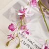 Realistic Artificial Papilio Orchid 3 Fork Simulation Phalaenopsis  Home Office Decor