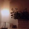 Paper Floor Lamp Modern Style Rice Paper Standing Lamps with Foot Switch for Living Room Bedroom