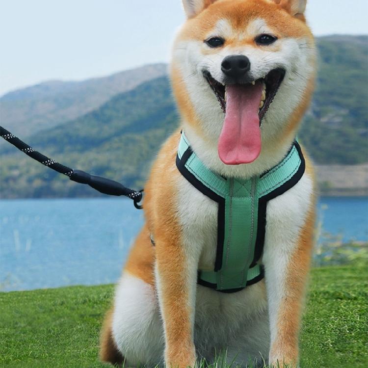 Adjustable Durable Traction Rope Interactive Lead Leash Dog Collars Pet Harness