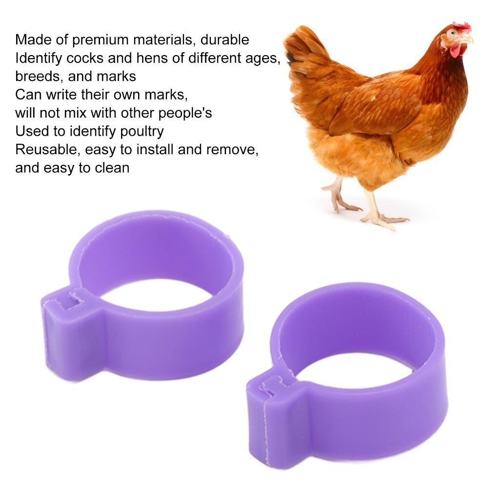100pcs 18mm&20mm Chicken Foot Ring Plastic Goose Leg Ring Poultry Foot Ring Age Marking 18mm