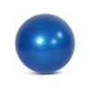 WEZHO 65cm Thickened PVC Yoga Fitness Ball